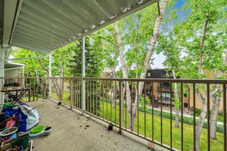 Photo 18: 412 3420 50 Street NW in Calgary: Varsity Apartment for sale : MLS®# A2053928