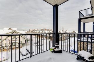 Photo 14: 318 117 Copperpond Common SE in Calgary: Copperfield Apartment for sale : MLS®# A2022054