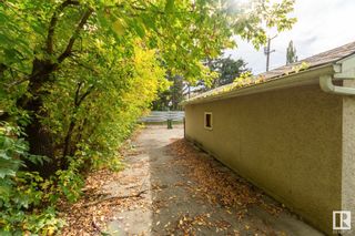 Photo 25: 11025 80 Avenue in Edmonton: Zone 15 House for sale : MLS®# E4358511
