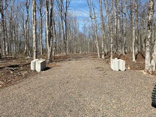 Photo 2: Lot 15-31 Northend Road in Londonderry: 103-Malagash, Wentworth Vacant Land for sale (Northern Region)  : MLS®# 202307083