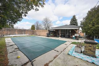 Photo 32: 3 Brookdale Crescent in Brampton: Avondale House (Bungalow) for sale : MLS®# W8146428
