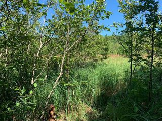 Photo 1: Lot 22-1 little Harbour Road in Frasers Mountain: 108-Rural Pictou County Vacant Land for sale (Northern Region)  : MLS®# 202307895