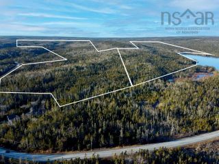 Photo 4: Welsh Lake (Prospect) Road in East Dover: 40-Timberlea, Prospect, St. Marg Vacant Land for sale (Halifax-Dartmouth)  : MLS®# 202319990
