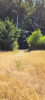 Main Photo: Lot A Arden Rd in Metchosin: Me Metchosin Land for sale : MLS®# 961667