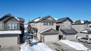 Photo 41: 255 Panora Way NW in Calgary: Panorama Hills Detached for sale : MLS®# A2031505
