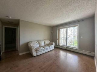 Photo 2: 205 21 Dover Point SE in Calgary: Dover Apartment for sale : MLS®# A2129149
