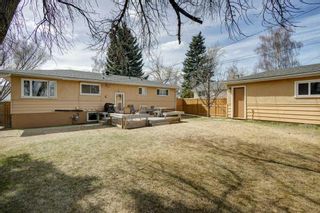 Photo 26: 5912 Thornton Road NW in Calgary: Thorncliffe Detached for sale : MLS®# A2126073