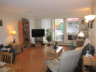 Photo 2: 114 12096 222 Street in Maple Ridge: West Central Condo for sale in "CANUCK PLAZA" : MLS®# R2119789