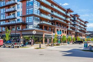 Photo 26: 101 29 Mahogany Circle SE in Calgary: Mahogany Apartment for sale : MLS®# A1170387