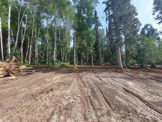 Photo 6: 7987 RIDGE Drive in Prince George: Cranbrook Hill Land for sale (PG City West)  : MLS®# R2755808
