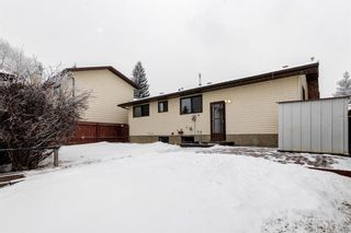 Photo 30: 36 Bearberry Crescent NW in Calgary: Beddington Heights Detached for sale : MLS®# A1188192