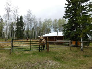 Photo 42: 84078 Highway 591: Rural Clearwater County Detached for sale : MLS®# A1111743