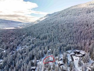 Photo 27: 8315 MOUNTAIN VIEW Drive in Whistler: Alpine Meadows House for sale in "Alpine Meadows" : MLS®# R2714620