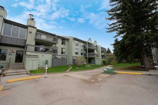 Main Photo: 412 10120 Brookpark Boulevard SW in Calgary: Braeside Apartment for sale : MLS®# A2133077