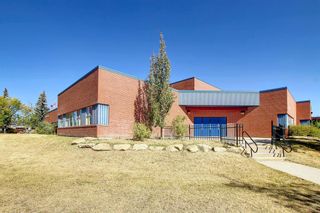 Photo 38: 107 Castlebrook Drive NE in Calgary: Castleridge Detached for sale : MLS®# A2003208