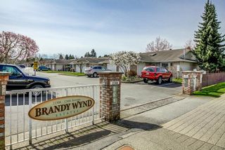 Photo 23: 60 22308 124 Avenue in Maple Ridge: West Central Townhouse for sale in "Brandy Wynd Estates" : MLS®# R2698002