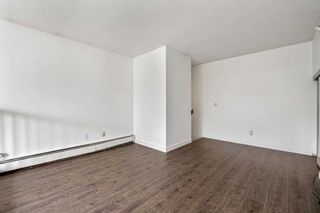 Photo 24: 307B 7301 4A Street SW in Calgary: Kingsland Apartment for sale : MLS®# A2074239