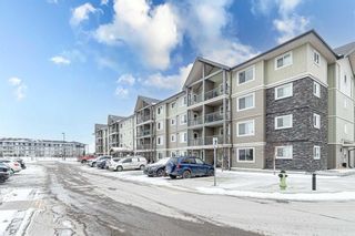 Main Photo: 2211 181 SKYVIEW RANCH Manor NE in Calgary: Skyview Ranch Apartment for sale : MLS®# A2108236
