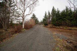 Photo 18: 972 Highway 217 in Freeport: Digby County Residential for sale (Annapolis Valley)  : MLS®# 202401240