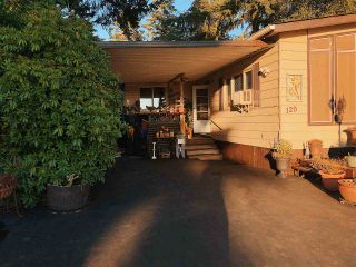Photo 2: 120 3665 244 Street in Langley: Aldergrove Langley Manufactured Home for sale : MLS®# R2292607