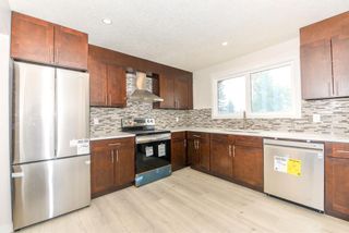 Photo 26: 42 Erin Ridge Place SE in Calgary: Erin Woods Detached for sale : MLS®# A1234940