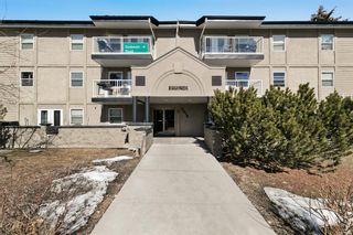 Photo 4: 103 2010 35 Avenue SW in Calgary: Altadore Apartment for sale : MLS®# A2034704