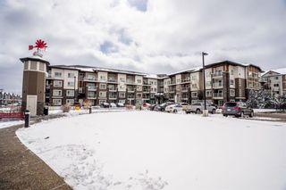 Main Photo: 4308 240 Skyview Ranch Road NE in Calgary: Skyview Ranch Apartment for sale : MLS®# A2121815