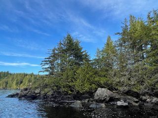 Photo 8: DL 1092 Clayoquot Island in Ucluelet: PA Ucluelet Land for sale (Port Alberni)  : MLS®# 861692