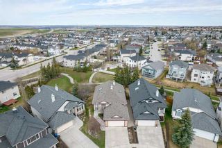 Photo 43: 217 Citadel Crest Green NW in Calgary: Citadel Detached for sale : MLS®# A2127757