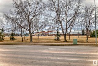 Photo 43: 315 15499 CASTLE DOWNS Road in Edmonton: Zone 27 Condo for sale : MLS®# E4382529