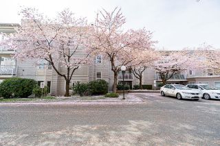 Main Photo: 103 9940 151 Street in Surrey: Guildford Condo for sale in "WESTCHESTER PLACE" (North Surrey)  : MLS®# R2867041