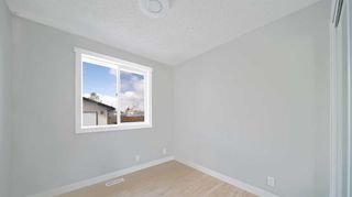 Photo 18: 7 Templeby Road NE in Calgary: Temple Detached for sale : MLS®# A2125207