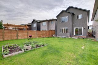 Photo 35: 225 Lucas Crescent NW in Calgary: Livingston Detached for sale : MLS®# A1241158