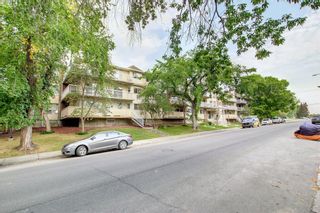 Main Photo: 317 2211 29 Street SW in Calgary: Killarney/Glengarry Apartment for sale : MLS®# A1258300