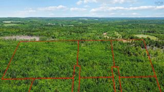 Photo 7: Lot 8 Old Renfrew Road in Upper Rawdon: 105-East Hants/Colchester West Vacant Land for sale (Halifax-Dartmouth)  : MLS®# 202306243
