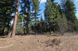 Photo 8: Lot B Zinck Road in Scotch Creek: Land Only for sale : MLS®# 10249220