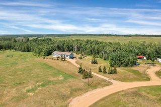 Photo 37: 46 454072 RGE RD 11: Rural Wetaskiwin County House for sale : MLS®# E4343368