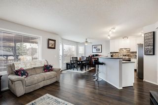 Photo 6: 149 Shannon Square SW in Calgary: Shawnessy Detached for sale : MLS®# A1209155