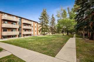 Photo 2: 103 11620 Elbow Drive SW in Calgary: Canyon Meadows Apartment for sale : MLS®# A1257129