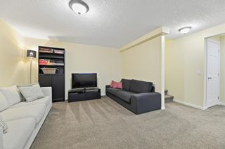 Photo 34: 107 Elgin View SE in Calgary: McKenzie Towne Detached for sale : MLS®# A1208693