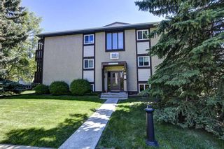 Photo 16: 45 366 94 Avenue SE in Calgary: Acadia Apartment for sale : MLS®# A1237610