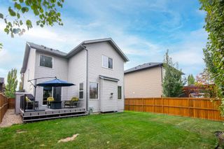 Photo 43: 10 Chapalina Green SE in Calgary: Chaparral Detached for sale : MLS®# A2083614