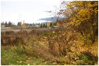 Photo 3: 480 Southeast 30 Street in Salmon Arm: SE Vacant Land for sale : MLS®# 10171761