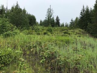 Photo 6: Lot 2 Cedar Drive in Blind Bay: Vacant Land for sale : MLS®# 10256384