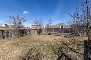 Photo 66: 2518 9TH AVENUE in WAINWRIGHT: House for sale : MLS®# A1201279