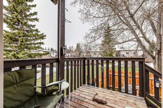 Photo 18: 120 Oaktree Close SW in Calgary: Oakridge Semi Detached (Half Duplex) for sale : MLS®# A2129115