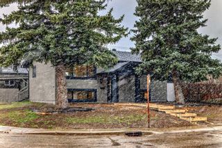 Photo 42: 3403 Boulton Road NW in Calgary: Brentwood Detached for sale : MLS®# A2128310