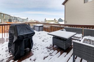 Photo 25: 34 Panamount Bay NW in Calgary: Panorama Hills Detached for sale : MLS®# A1192146