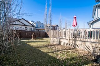 Photo 42: 91 Evansbrooke Manor NW in Calgary: Evanston Detached for sale : MLS®# A1211747