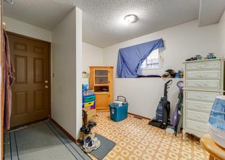 Photo 20: 220 Berwick Way NW in Calgary: Beddington Heights Detached for sale : MLS®# A2053783